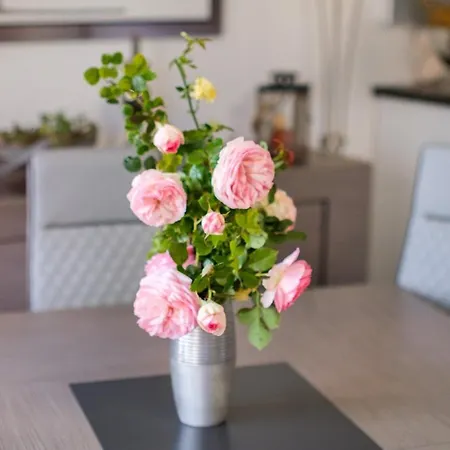 Natura Parc Toit Terrasse Apartment Frejus